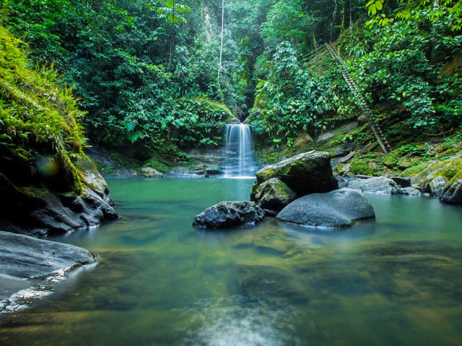Paquete turístico a Tarapoto: selva, cataratas y descanso natural