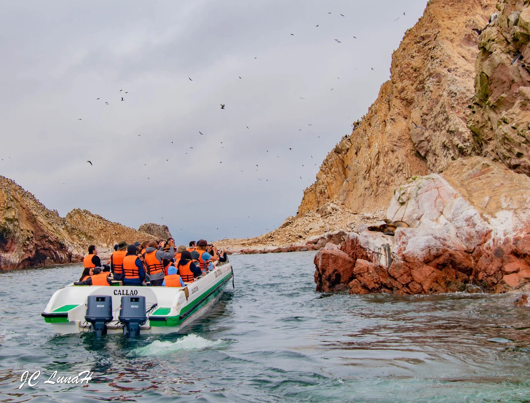 Paquete turístico a Paracas: mar, desierto y reserva natural